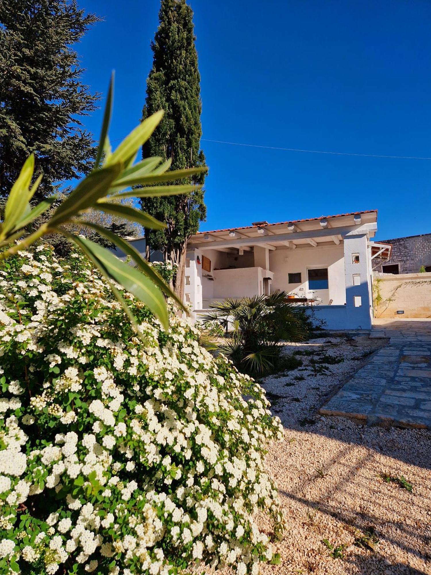 Villa Anna Holiday House Selva Di Fasano Exterior foto